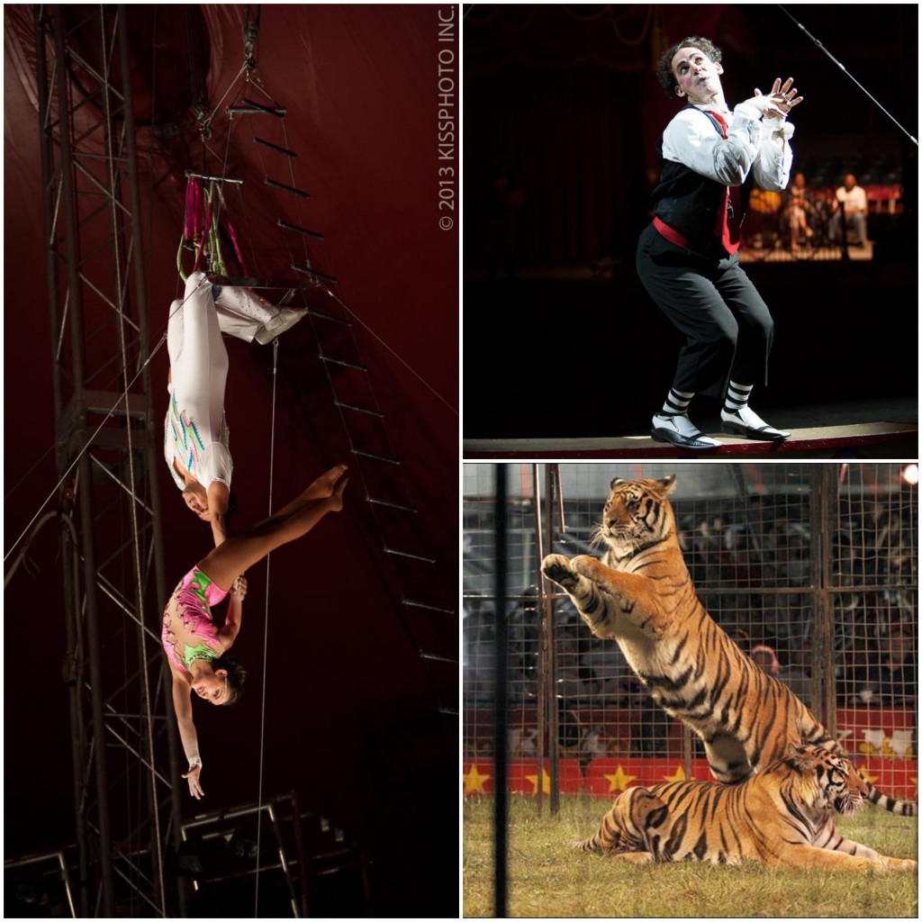 Toronto Shrine Circus