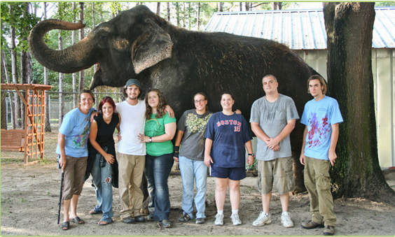 florida elephant sanctuary