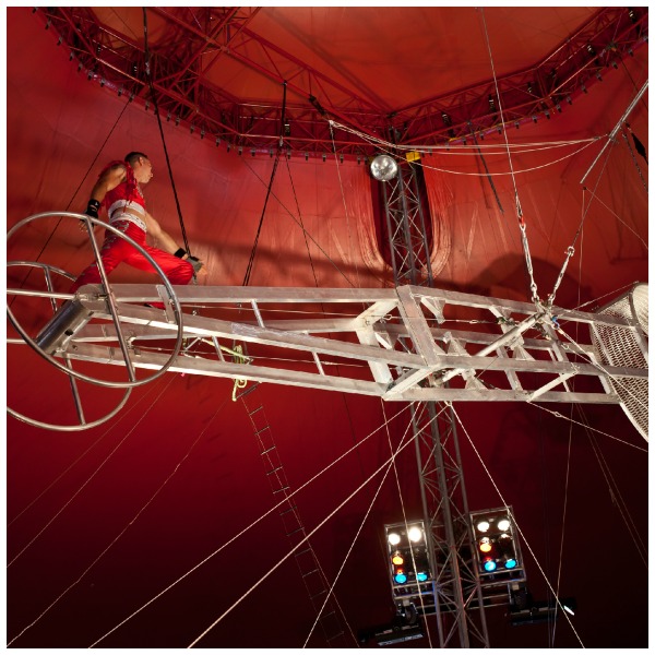 Shrine circus, performers, acrobats, tigers, elephants, family entertainment