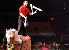 “Equine Acrobatics, Balance & Grace”  *** Jioke Riders  ***